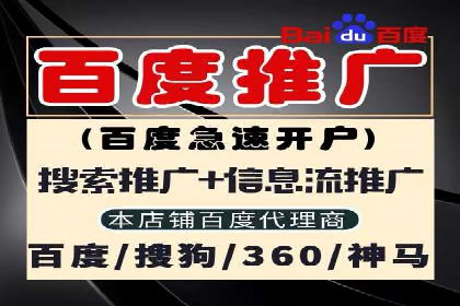 SEM推广策略：成功案例解析与效果评估